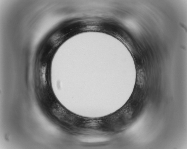 X0000096211150200802081456