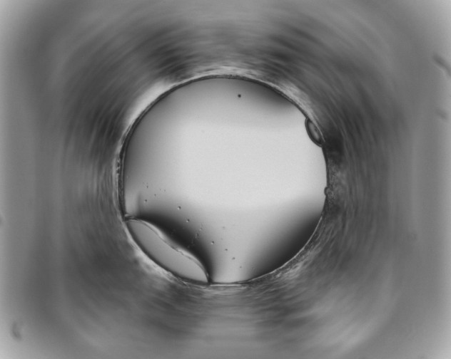 X0000096211151200802081456