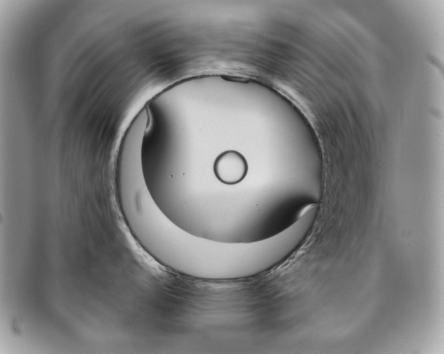 X0000096211152200802081456