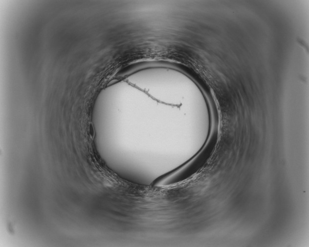 X0000096211153200802081455