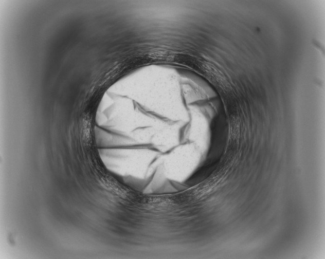 X0000096211154200802081455