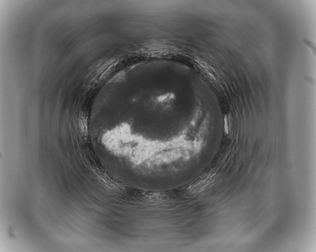 X0000096211155200802081455