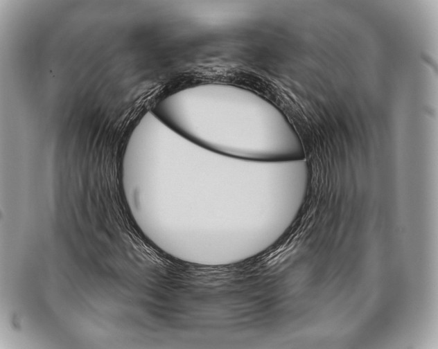 X0000096211156200802081455