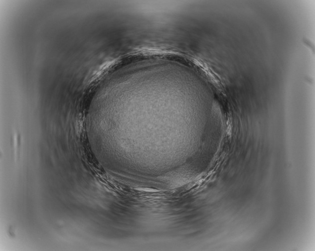 X0000096211157200802081455