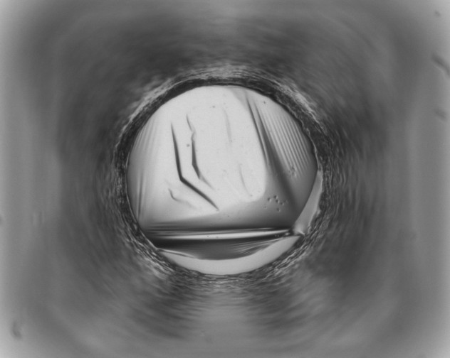 X0000096211160200802081455