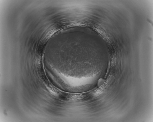 X0000096211161200802081455