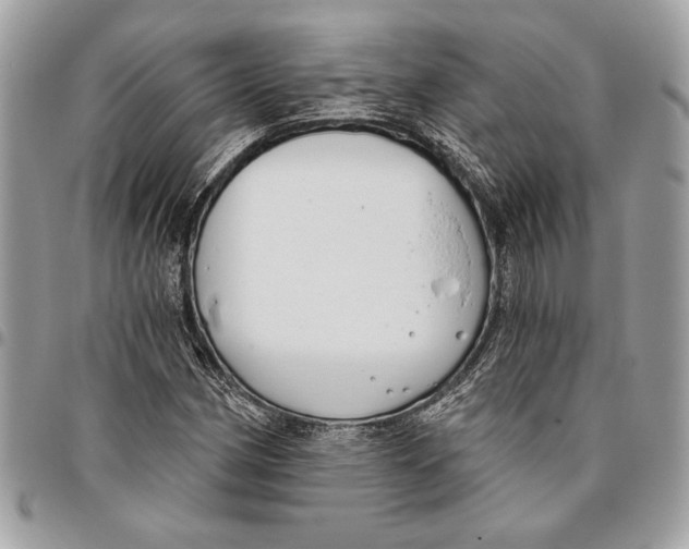 X0000096211162200802081455