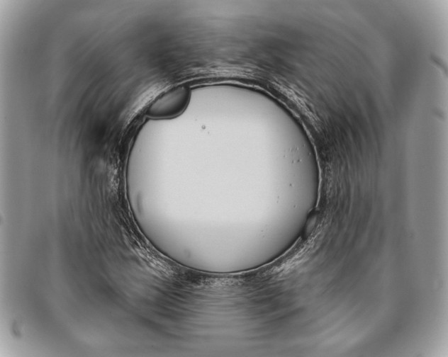 X0000096211163200802081454