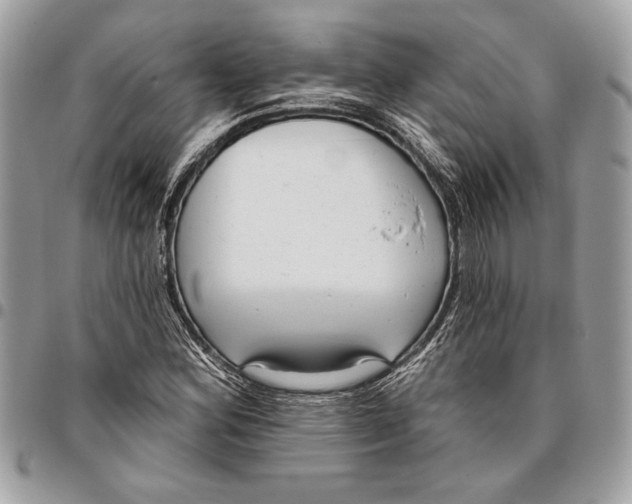 X0000096211164200802081454