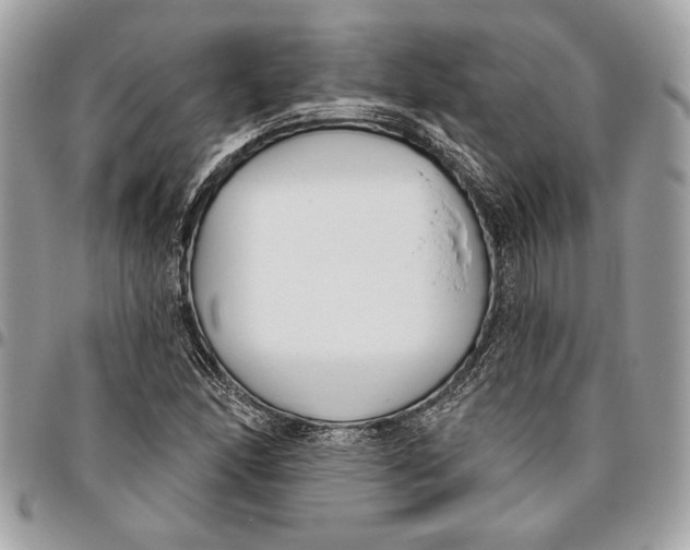 X0000096211166200802081454