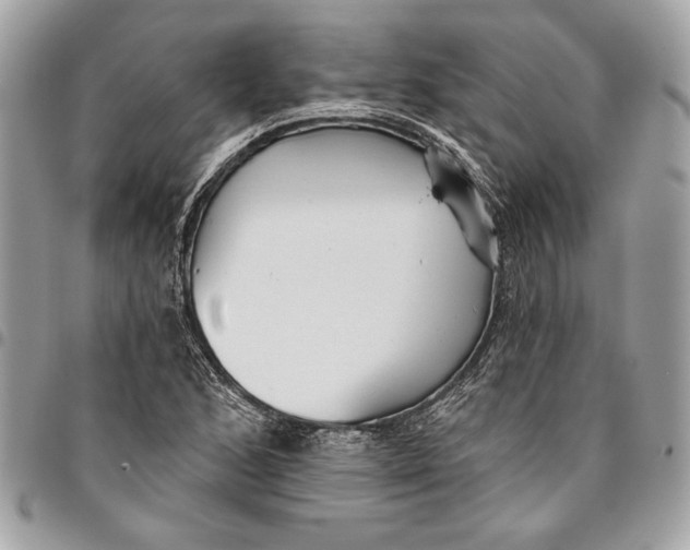 X0000096211168200802081454