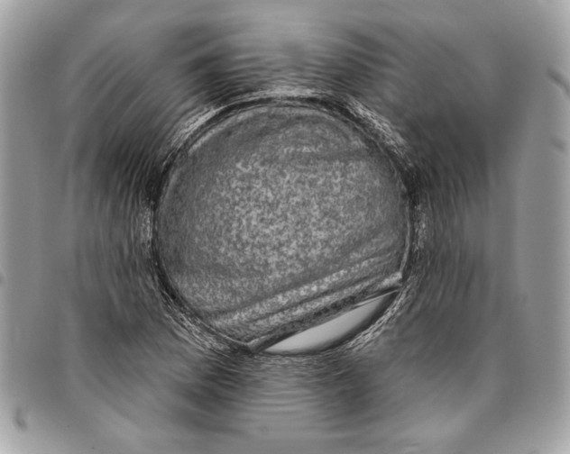 X0000096211169200802081454