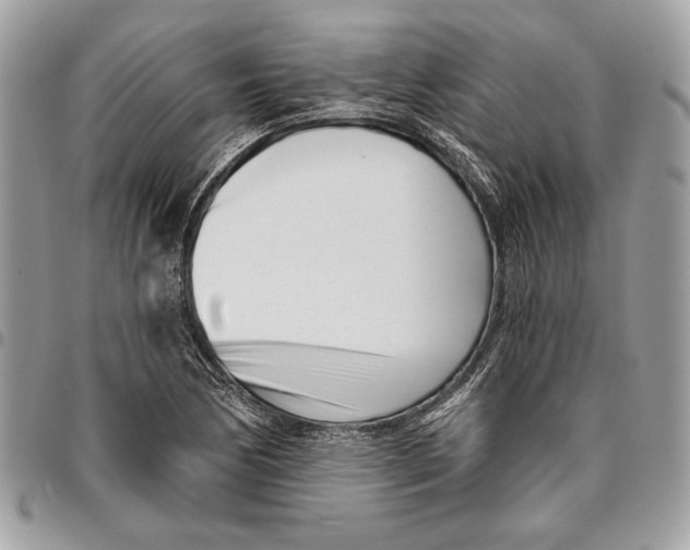 X0000096211170200802081454