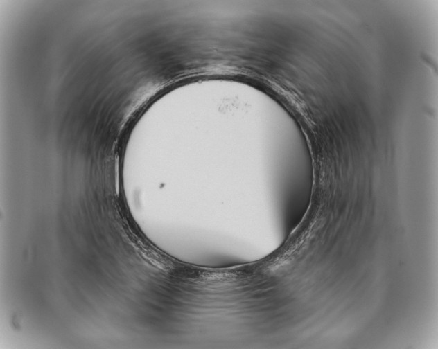 X0000096211171200802081454