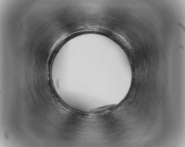 X0000096211172200802081454