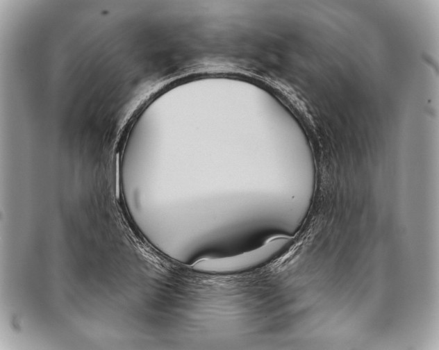 X0000096211175200802081454