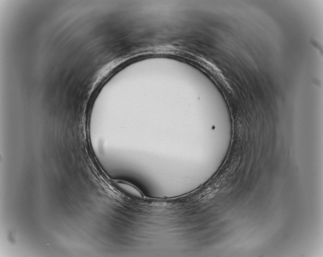 X0000096211176200802081454