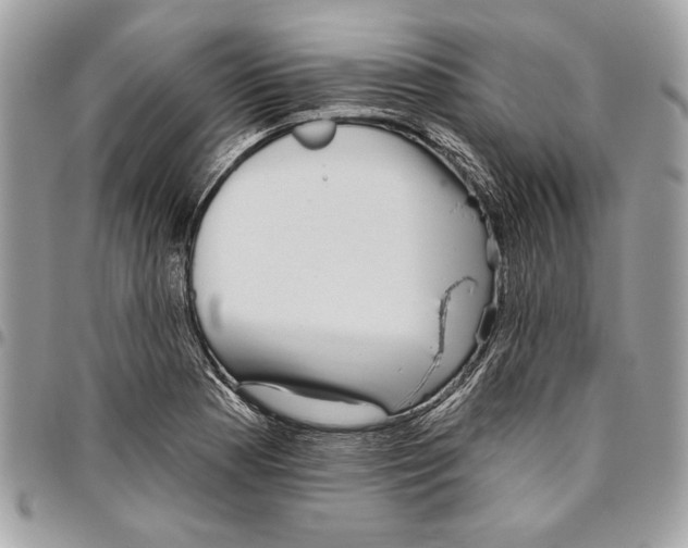 X0000096211177200802081454