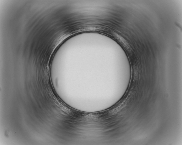 X0000096211178200802081454