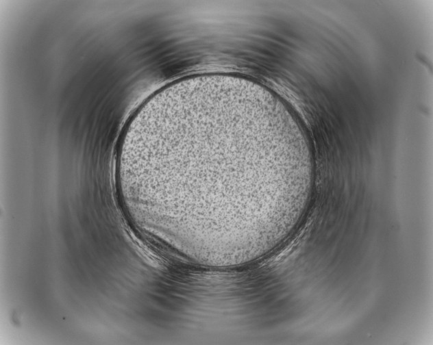 X0000096211179200802081454