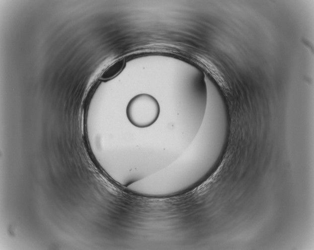 X0000096211180200802081454