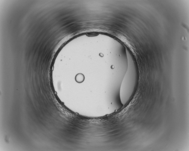 X0000096211181200802081454