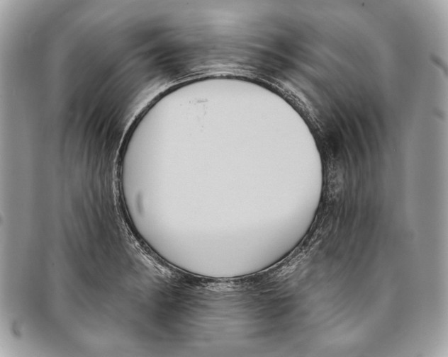 X0000096211182200802081454