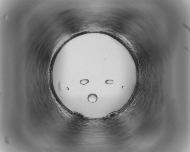 X0000096211183200802081454