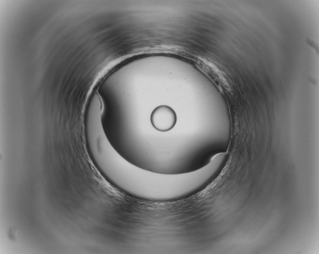 X0000096211184200802081454