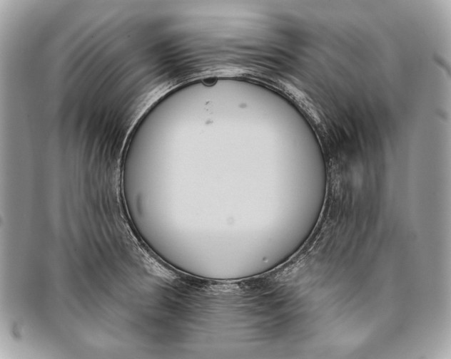 X0000096211186200802081454