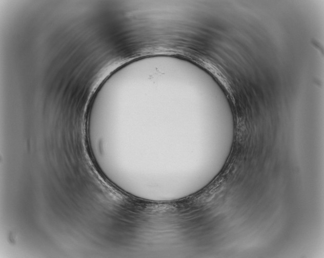 X0000096211187200802081454