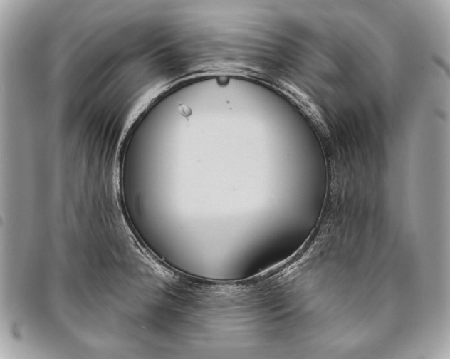 X0000096211188200802081454