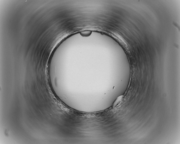 X0000096211190200802081454