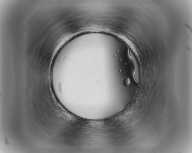 X0000096211191200802081454