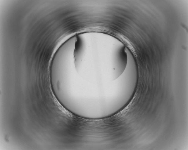 X0000096211192200802081454