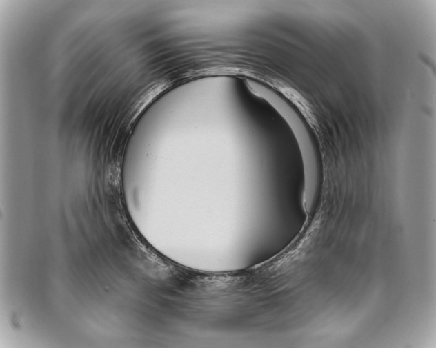 X0000096211193200802081454