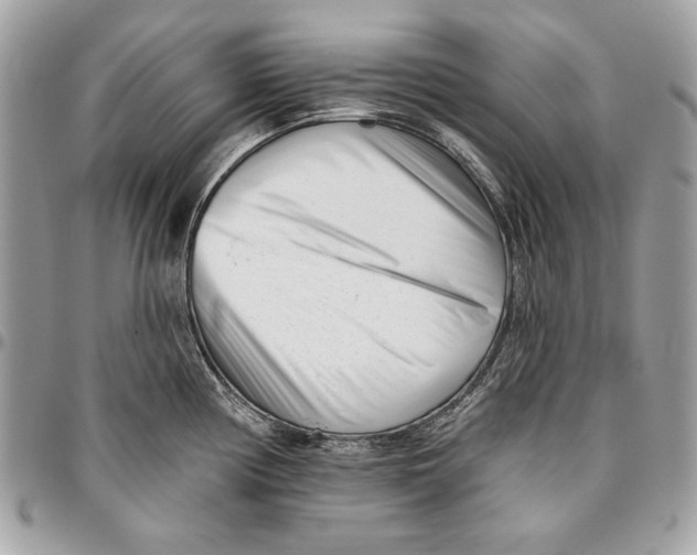 X0000096211194200802081454