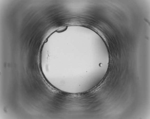 X0000096211195200802081454