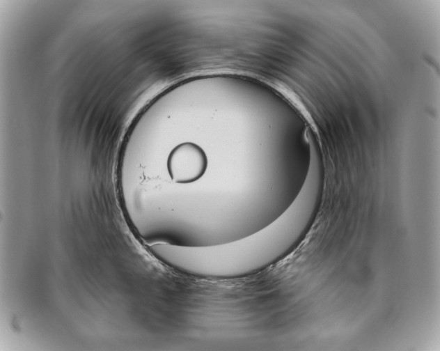 X0000096211197200802081454