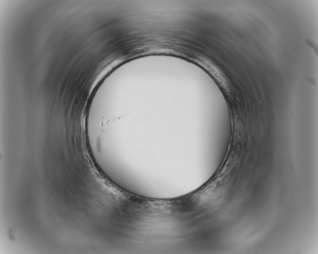 X0000096211198200802081454