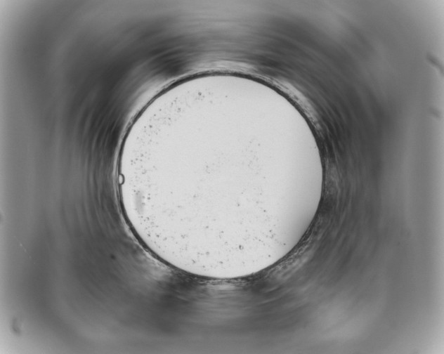 X0000096211199200802081454