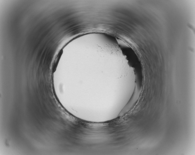 X0000096211200200802081454