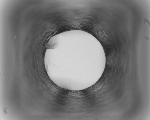 X0000096211201200802081453