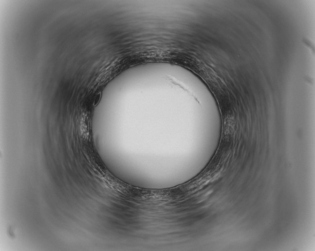 X0000096211202200802081453