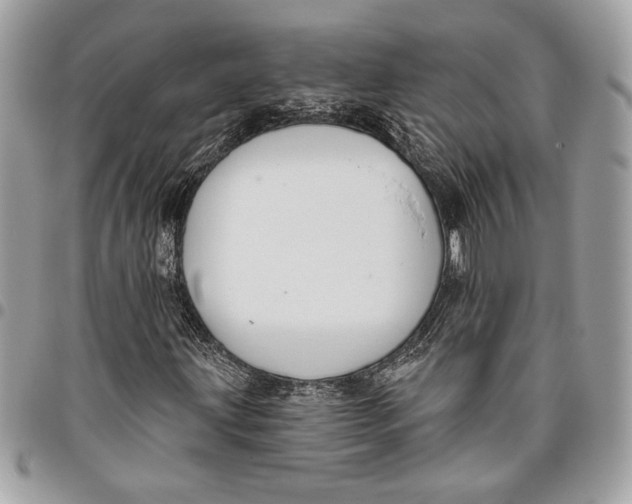 X0000096211203200802081453