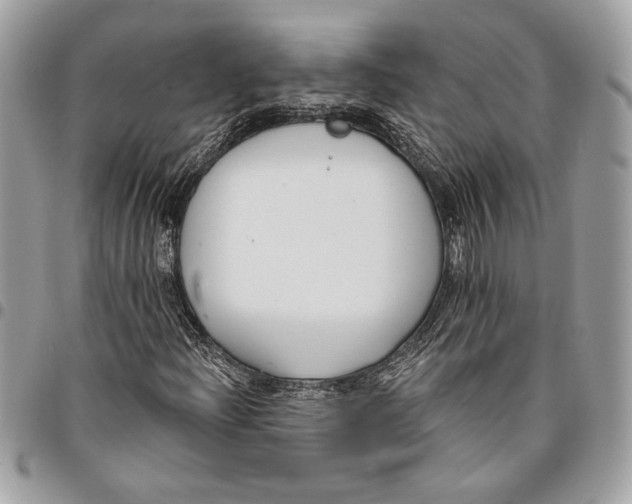 X0000096211204200802081453