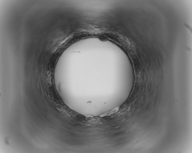 X0000096211205200802081453