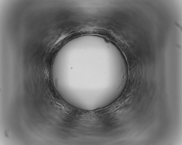 X0000096211206200802081453