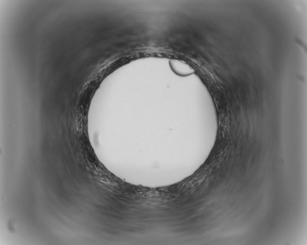 X0000096211207200802081453