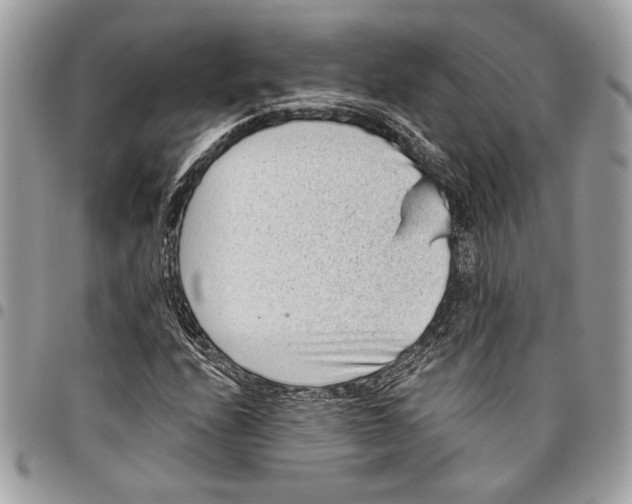 X0000096211208200802081453